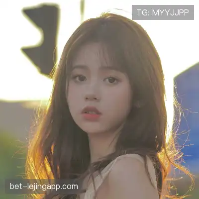 何鹰辉